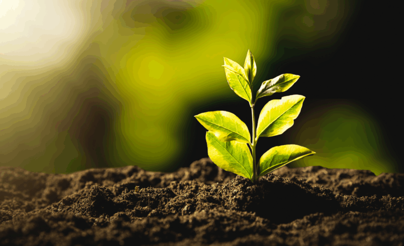 América Latina E Caribe Juntas Pela Agricultura Sustentável Na Cop30: Parceria Promissora De Desenvolvimento 1 2025 word2