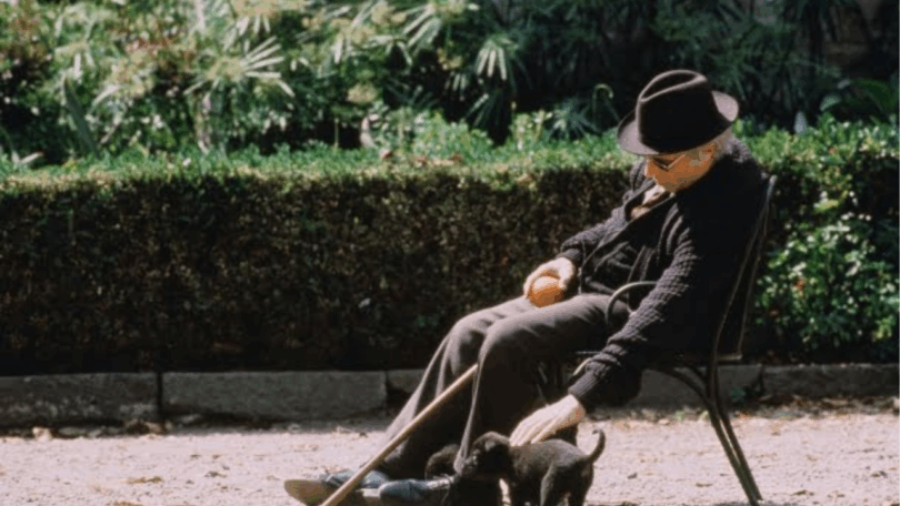 Fim De Uma Das Melhores Sagas Da História: Diretor Substituído Após 30 Anos Na Netflix 1 2025 word2