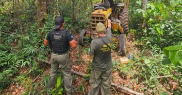 Polícia Civil e Ibama intensificam combate ao desmatamento ilegal em Comodoro -