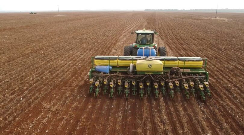 Plantio De Soja Avança No Nordeste E Sudeste De Mato Grosso Impulsionado Pelas Chuvas 1 2025 word3