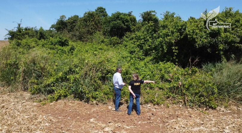 Guia Prático: Como Comprovar Área Consolidada No Car Digital - Casos Reais E Orientações 1 2025 word1