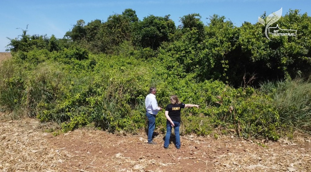 Mt-Sustentavel-Area-Consolidada-Car-Digital-Foto-Israel-Baumann-Canal-Rural-Mato-Grosso2-1024X566-1 MT Sustentável área consolidada CAR Digital foto Israel Baumann Dia de Ajudar Mato Grosso2