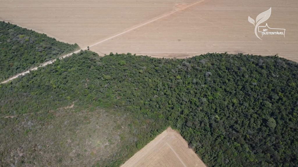 Guia Prático: Como Comprovar Área Consolidada No Car Digital - Casos Reais E Orientações 3 MT Sustentável área consolidada CAR Digital foto Israel Baumann Dia de Ajudar Mato Grosso1