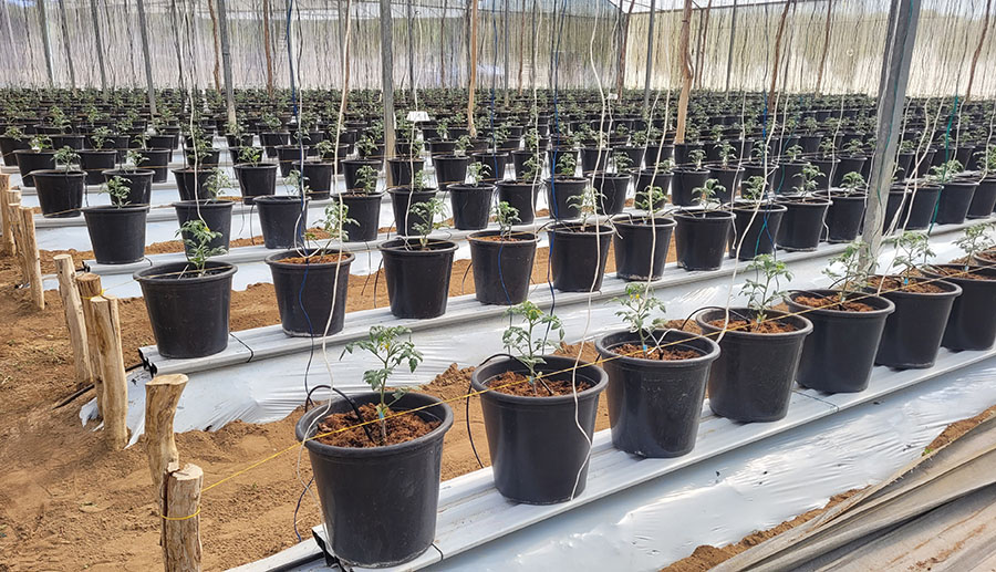 251118_Reusoaguahortalicas 2025 word2