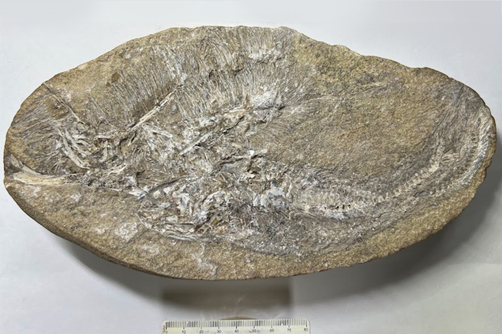 Uma rocha em superfície branca.