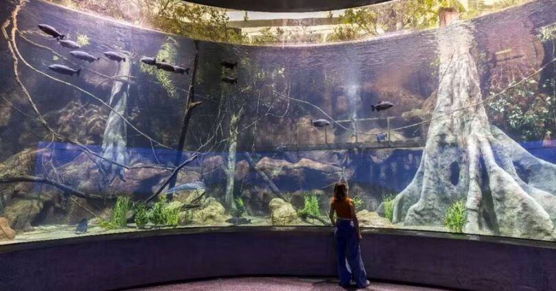 Novo Aquário De 23 Mil M² Em Foz Do Iguaçu Com Espécies Raras 1 2025 word3