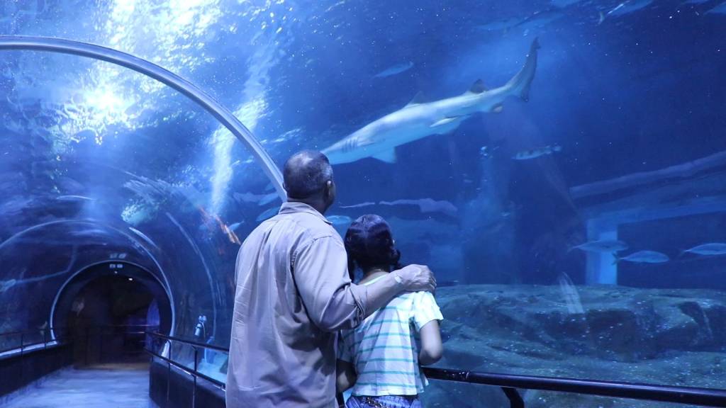 Aquario No Rj AquaRio no RJ