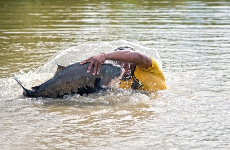 Aquicultura: Um Pilar Crucial Para A Bioeconomia E A Luta Contra A Crise Climática 1 2025 word2