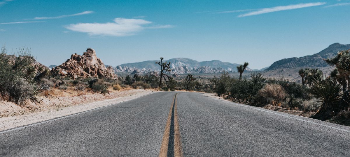 Guiana quer criar uma rota da Amazônia ao Atlântico e encurtar a viagem em 90% - Foto: Reprodução