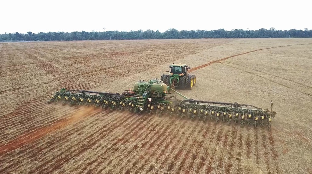 Desafios Da Produção De Soja Em Mato Grosso: Atrasos, Clima E Mercado Desfavorável 2 plantio soja falta e chuva foto pedro silvestre canal rural mato grosso1