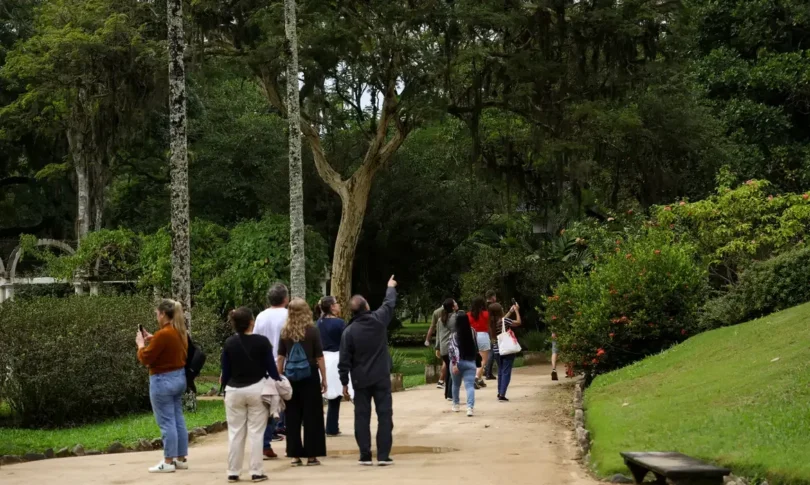 Jardim Botânico Do Rio: Programação Especial Para O Dia Da Consciência Negra 1 2025 word1