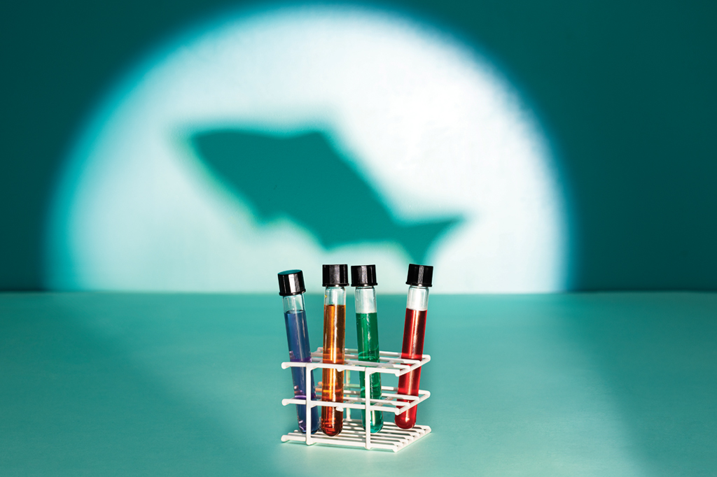 Imagem, de tom esverdeado, projetando a sombra de um peixe na parede. Em primeiro plano, vê-se, quatro ampolas de vidro.