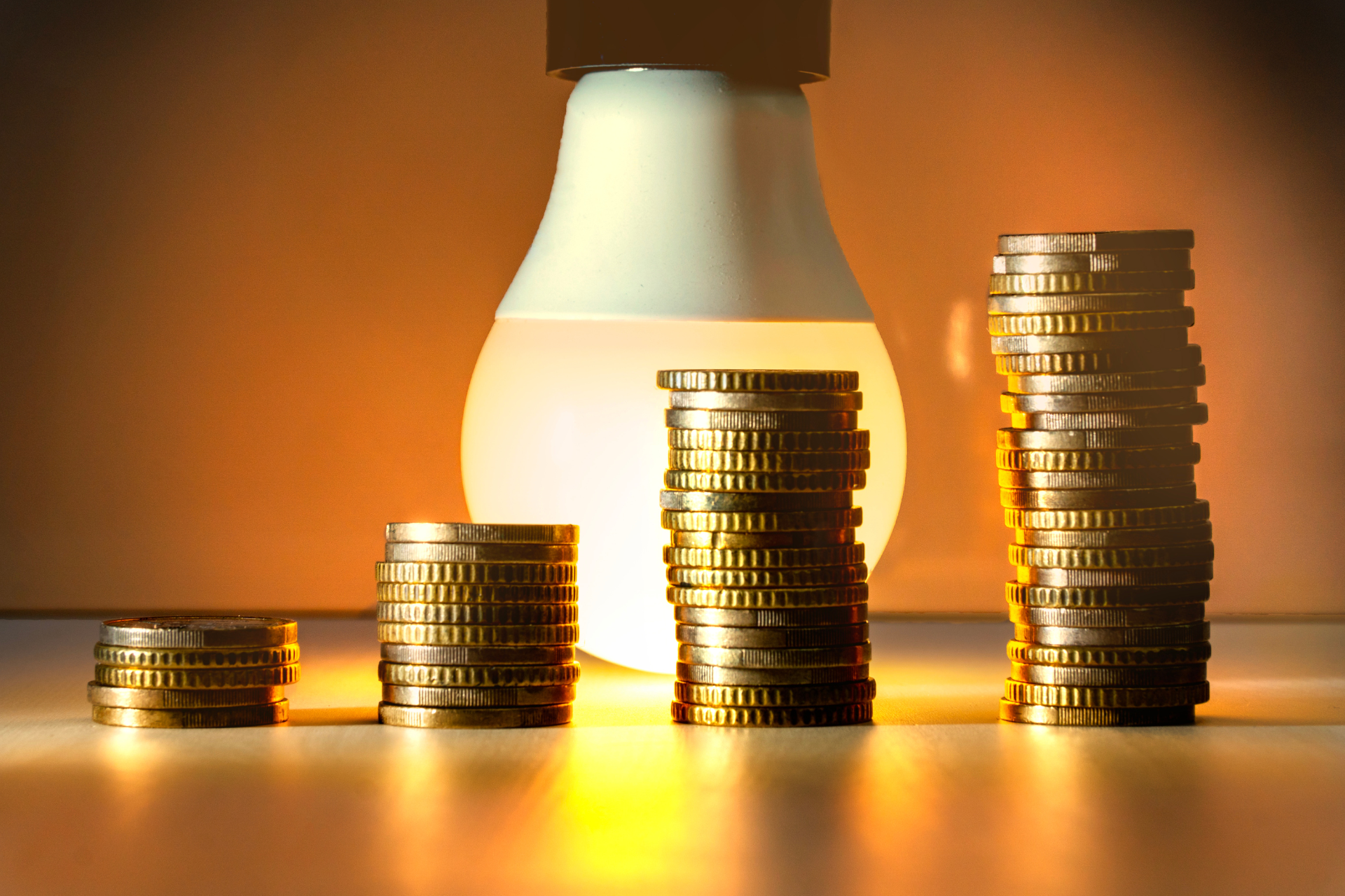 Energia-Eletrica-Tarifa-Social 2025 word1