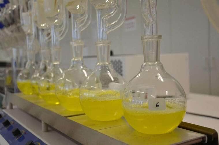 Biocombustível: Debate Sobre Descarbonização Na Agrizone 1 2025 word2