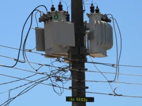 Esse número representa um aumento de 72% em comparação com o ano passado, quando foram registradas 58 prisões ao longo de 2024.