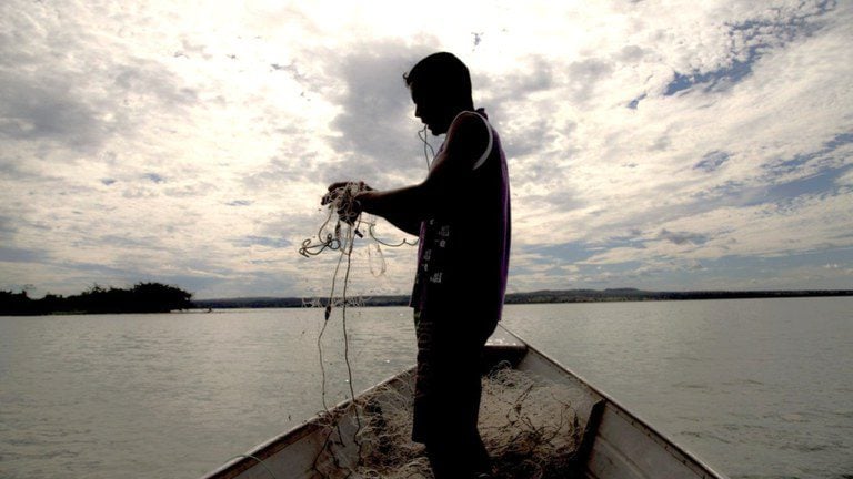 Ministério Suspende 35 Mil Licenças De Pescadores Por Fraude: Entenda A Situação 1 2025 word2