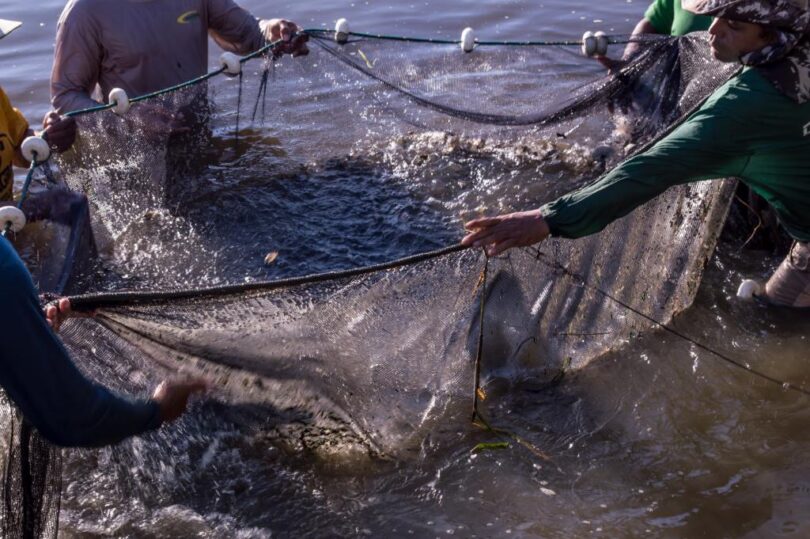 Sedec e Prefeitura de Paranaíta firmam convênio para instalar fábrica municipal de ração para peixes -