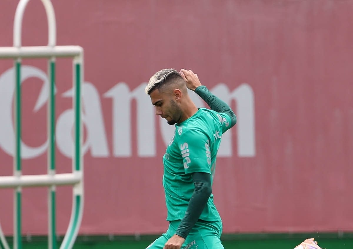 Grêmio x Palmeiras: onde assistir, escalações e o clima tenso no duelo da 36ª rodada do Brasileirão. Imagem: Cesar Greco/AG. Palmeiras