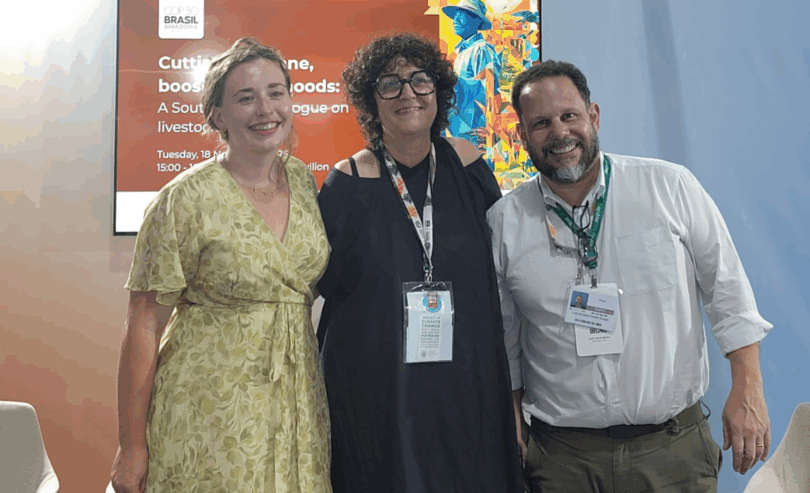 Cooperação Global Para Reduzir Superpoluentes: Mapa Estratégico Em Debate 1 2025 word2