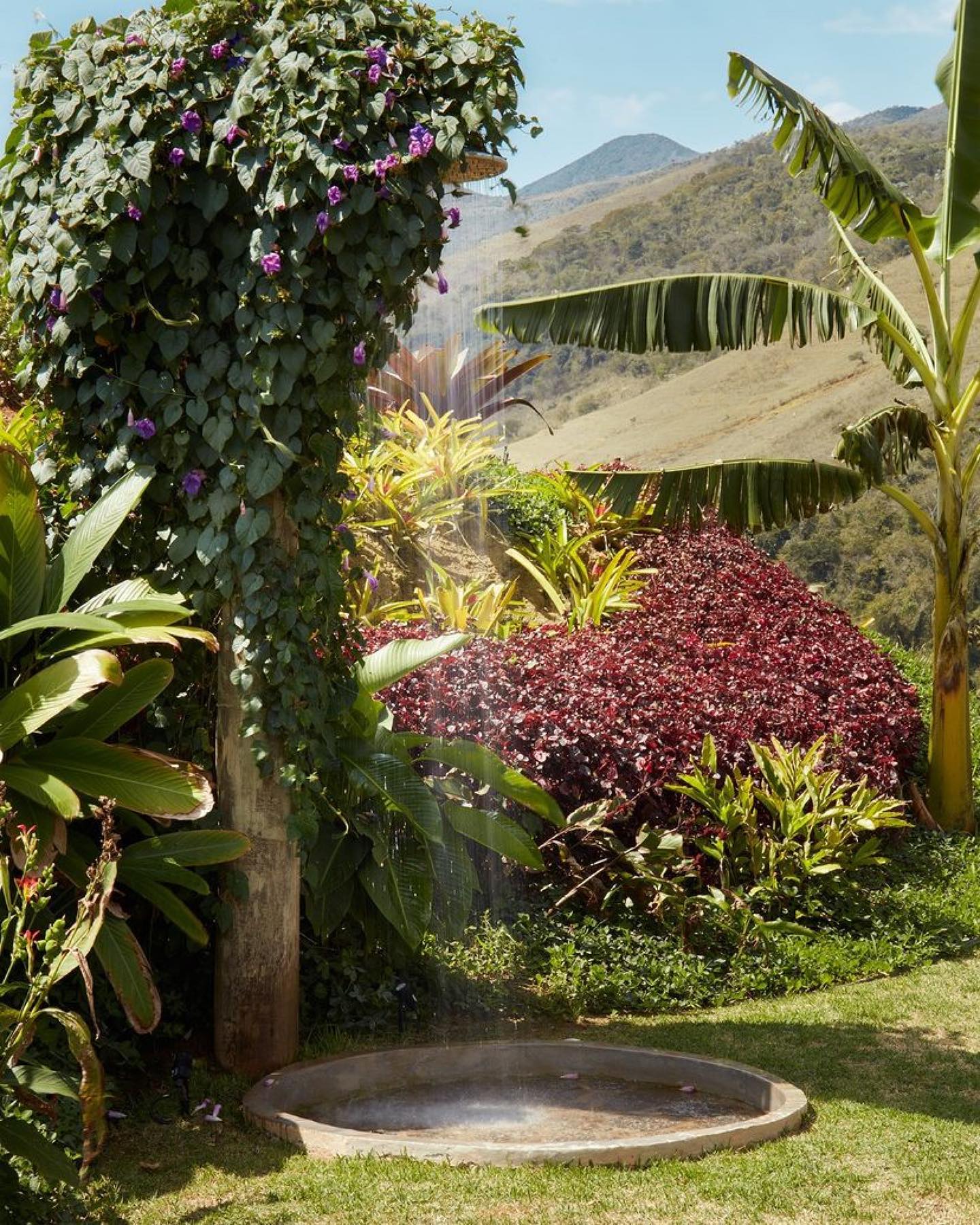 ducha externa em jardim com folhagens verdes e trepadeiras floridas.