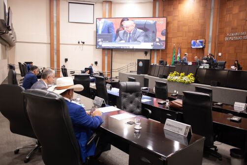 Pedido De Vista Adia Votação Da Lei Orçamentária De 2026: Entenda O Que Isso Significa 1 2025 word1