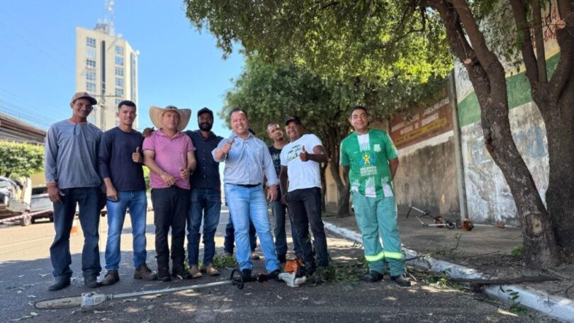 Rondonópolis Inaugura Serviço Pioneiro De Poda De Árvores: Confira! 1 2025 word1