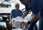 Mais de 50 mil quilos de alimentos são disponibilizados pela Seaf a pessoas em situação de vulnerabilidade - Alimentos distribuídos a pessoas em situação de vulnerabilidade social
