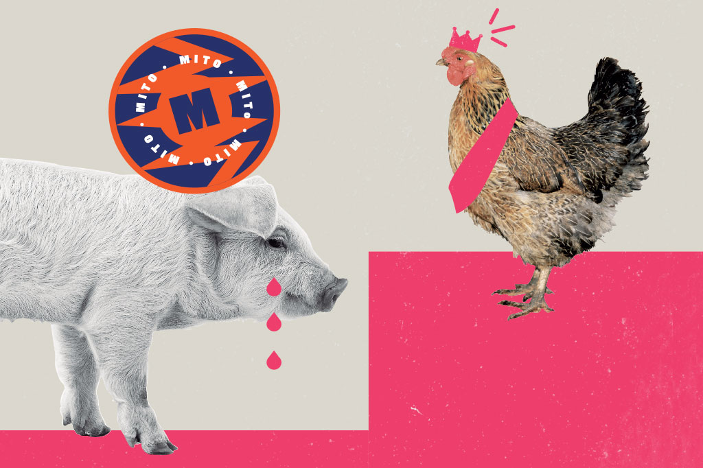 Si_60_Mitos_Alimentacao_Cap5_5 SI_60_mitos_alimentacao_Cap5_5