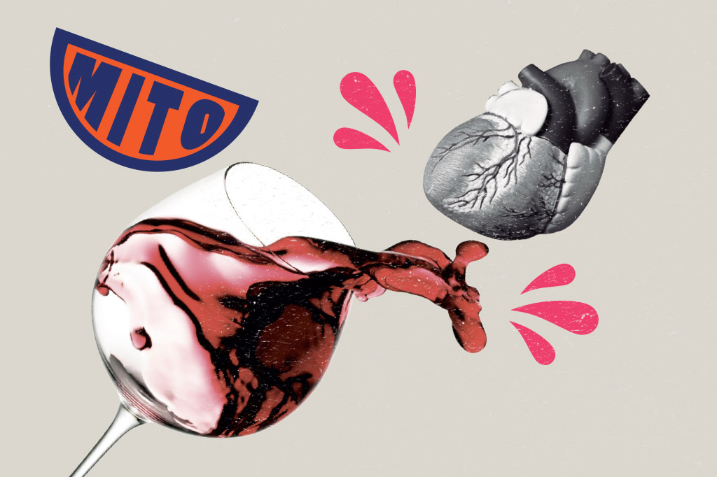 Si_60_Mitos_Alimentacao_Cap5_6 SI_60_mitos_alimentacao_Cap5_6