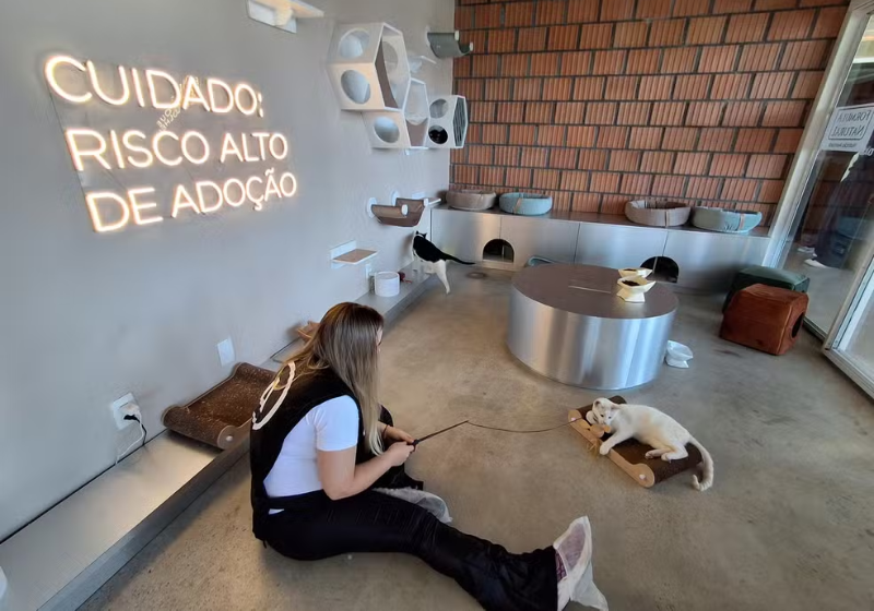 Inauguração Do Primeiro Centro De Adoção Permanente De Animais No Brasil Em São Paulo: Conheça O Café Que Abriga Cães E Gatos 1 2025 word3