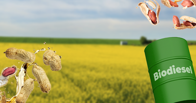 Brasil Expande Com A Entrada De Filipinas, Guatemala E Nicarágua, Acessando 496 Mercados Em 2023 1 2025 word1