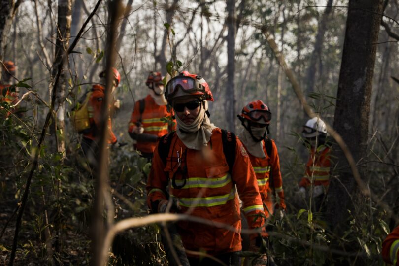Menor Número De Focos De Calor Em Mato Grosso Em 27 Anos: O Que Isso Significa Para O Meio Ambiente? 1 2025 word2