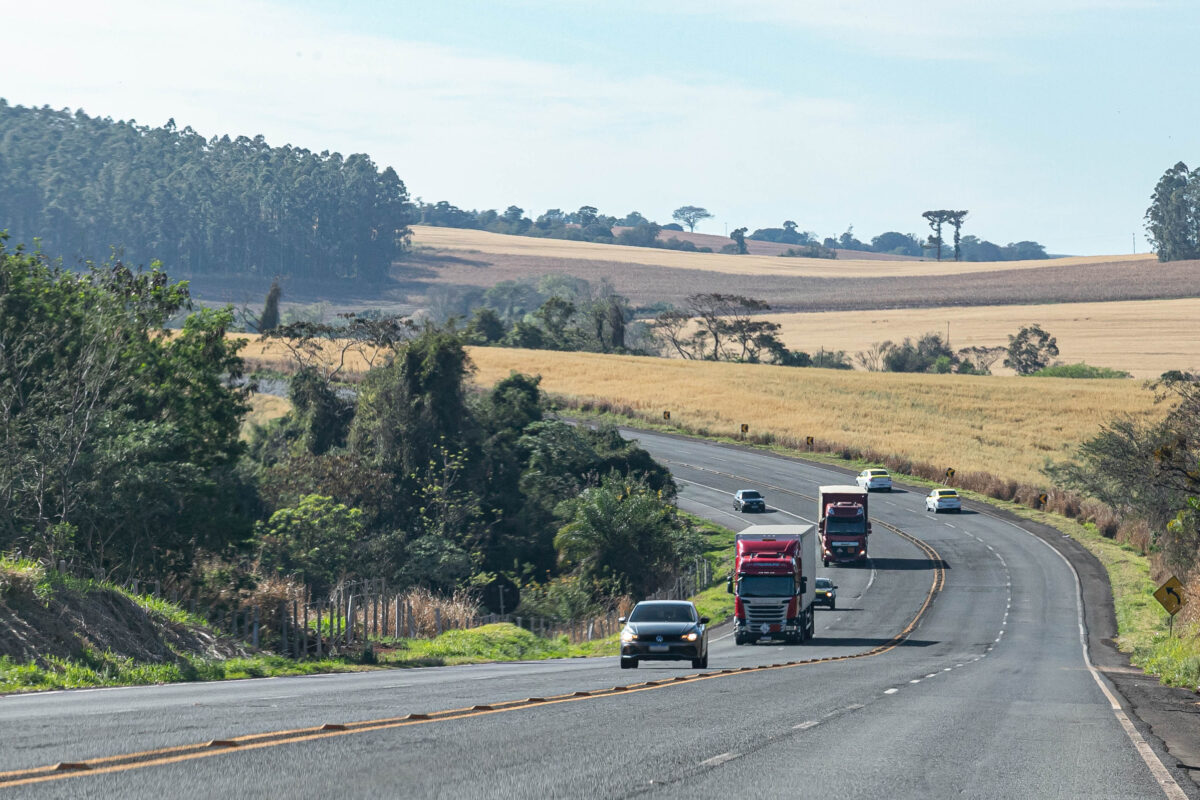 Pr444_Apucarana_Foto_Rdziura-8290 2025 word2