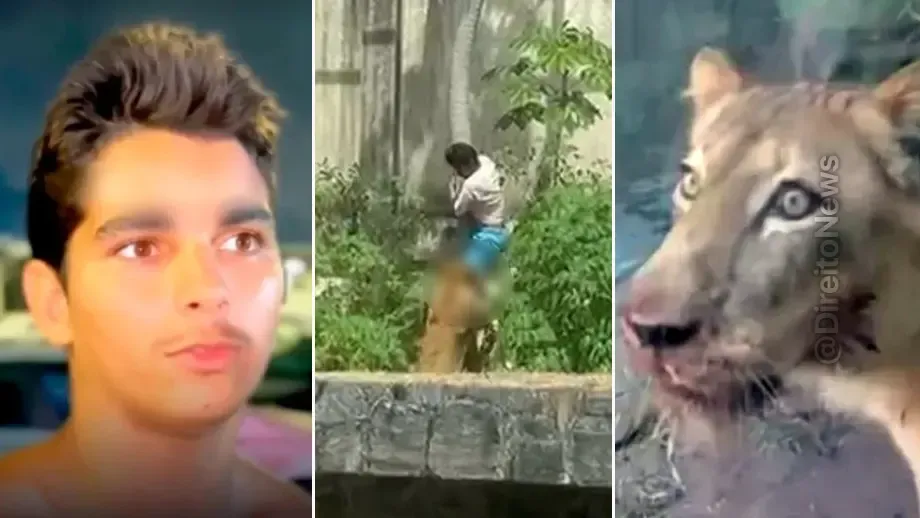 Morto Leoa Juiz Mandou Internar Homem 30 Dias Antes Tragedia morto leoa juiz mandou internar homem 30 dias antes tragedia