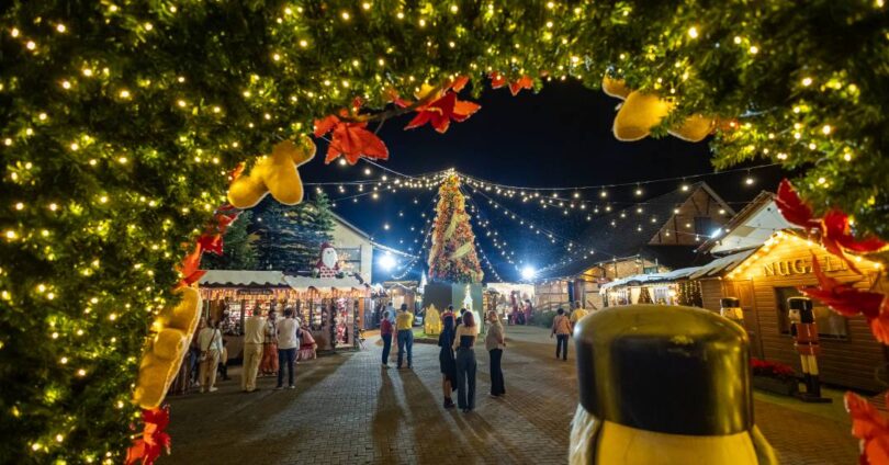 Natal Em Pomerode: Espetáculos E Mercado Europeu 1 2025 word3