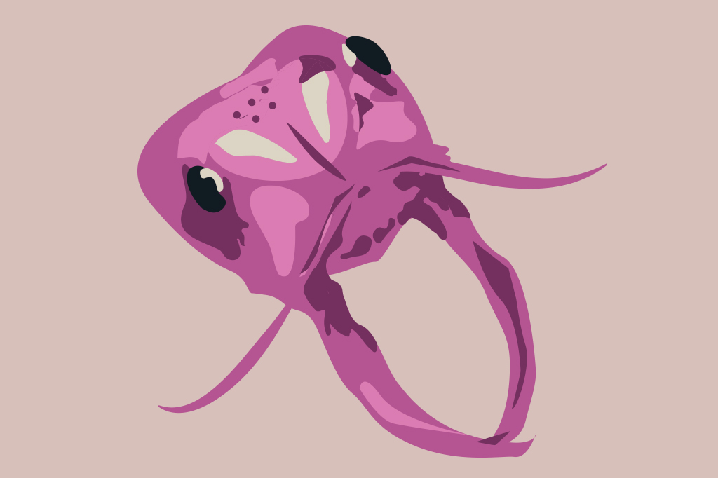 Ilustração, em fundo lilás opaco, de uma cabeça de formiga ampliada.