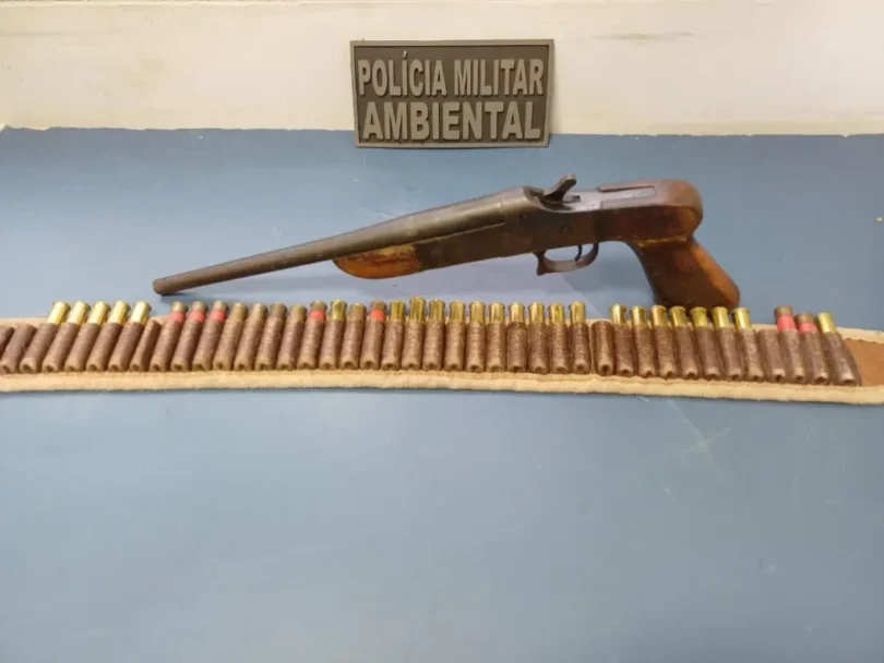 Ambiental Prende Homem Com Arma Em Sinop: Entenda O Caso E As Consequências 1 2025 word1