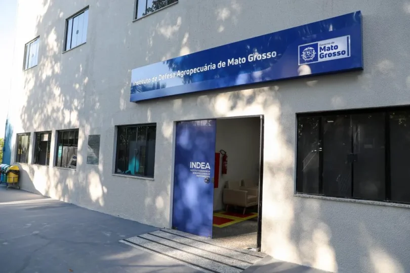 Indea Mt Convoca Aprovados Para Posse: Saiba Mais Sobre A Convocação 1 2025 word3