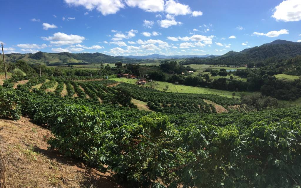 rota-do-cafe-paisagem