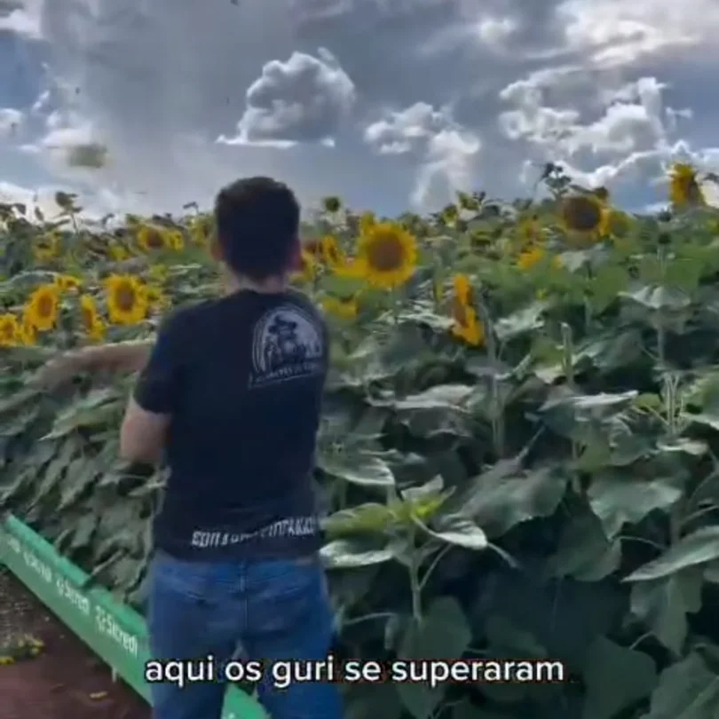 Apae De Lucas Do Rio Verde Repudia Vídeo Discriminatório E Exige Retratação Pública 1 2025 word2