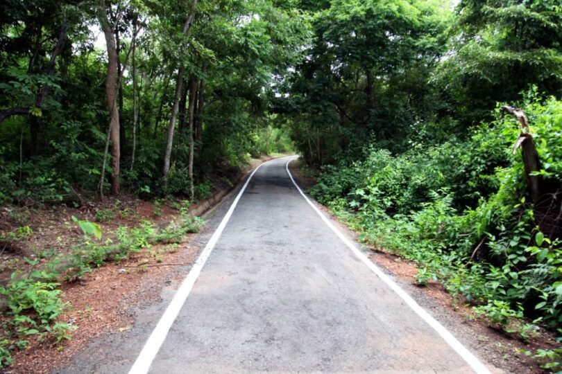 Várzea Grande Avança Na Criação Do Parque Natural Municipal Bernardo Berneck 1 2025 word3