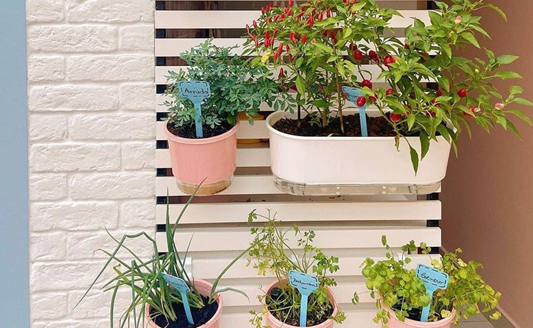 varanda iluminada com vasos de ervas posicionados na parede.