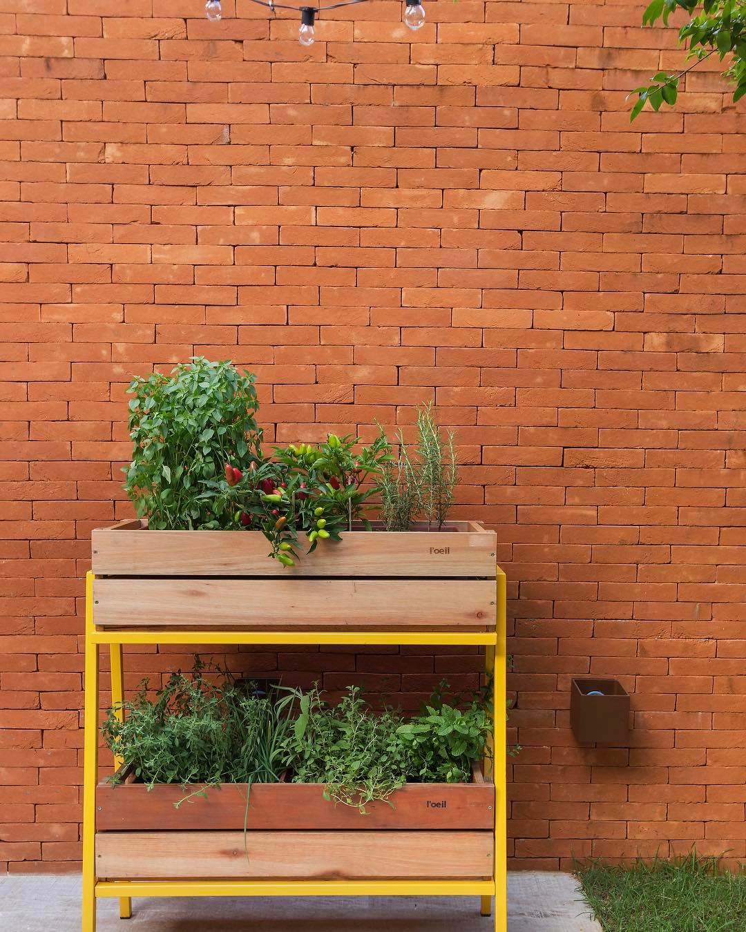 caixotes de madeira usados como vasos em horta rústica na varanda.
