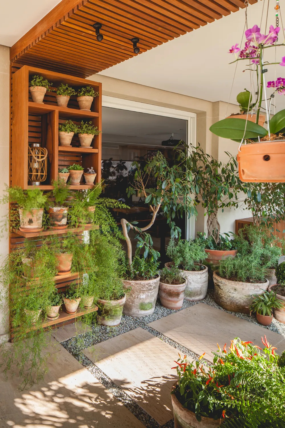 horta na varanda com vasos em prateleiras e no chão.
