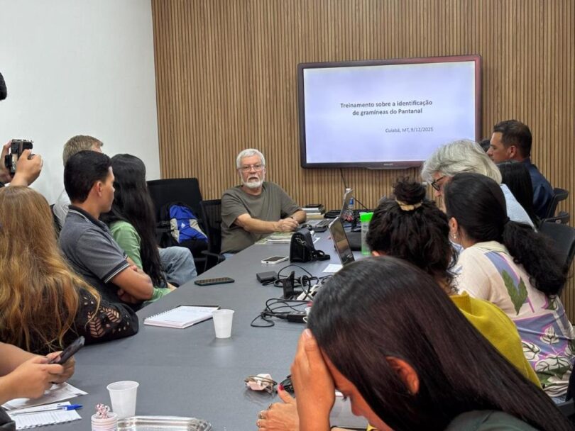 Seciteci Realiza Curso Online Sobre Identificação De Gramíneas Nativas Do Pantanal 1 Seciteci promove workshop e treinamento de identificação de gramíneas nativas do Pantanal - O programa desenvolve dois importantes projetos de pesquisa e desenvolvimento de produtos do bioma Pantanal para a geração de emprego e renda