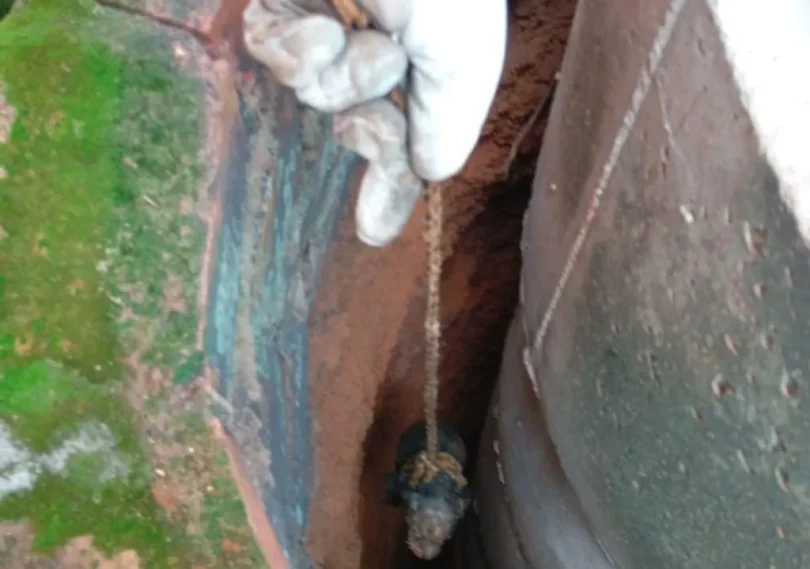 Resgate Emocionante: Bombeiros Salvam Filhote De Cachorro Preso Em Cisterna Em Confresa 1 2025 word3