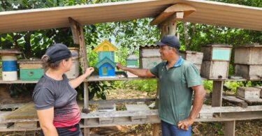 Produção de mel ganha força em Carlinda com apoio da Seaf e da Empaer e se torna alternativa de renda e conservação ambiental - Casal de produtores de mel de Carlinda