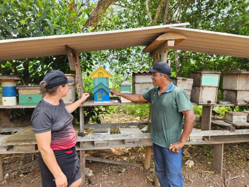 Produção De Mel Em Carlinda Ganha Impulso Com Apoio Da Seaf E Empaer: Uma Oportunidade Para Renda E Conservação Ambiental. 1 Produção de mel ganha força em Carlinda com apoio da Seaf e da Empaer e se torna alternativa de renda e conservação ambiental - Casal de produtores de mel de Carlinda