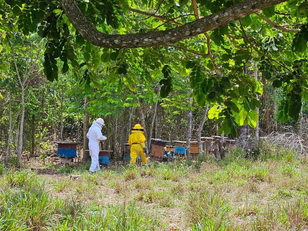 20251003_103302 2025 word1