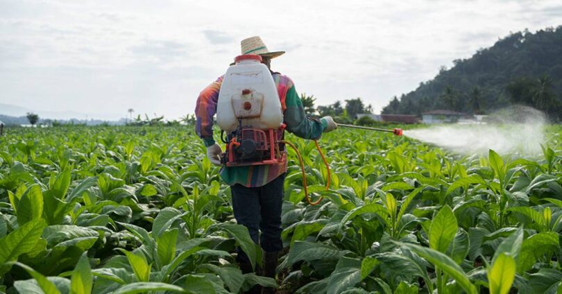 Estudo Revela Que Pesquisa Sobre Segurança Do Agrotóxico Glifosato É Retirada Após 25 Anos 1 2025 word1